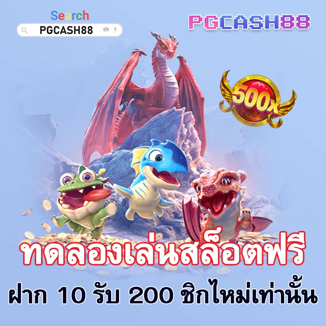 miami 1688 เว็บตรง